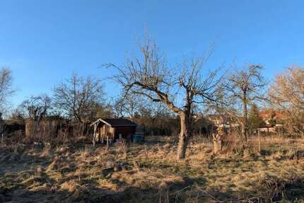 Grundstück Beelitz - 270.000&euro; | Angebot:26633227