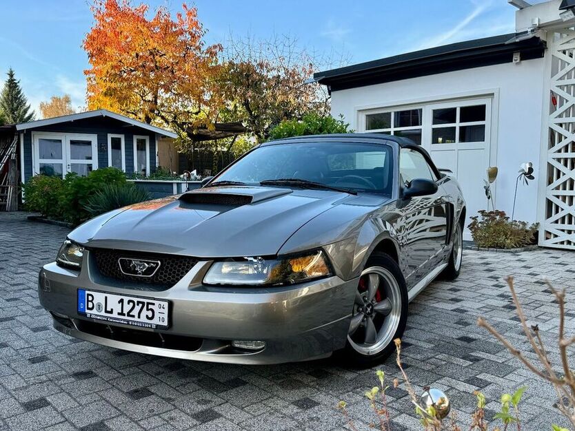 Mustang