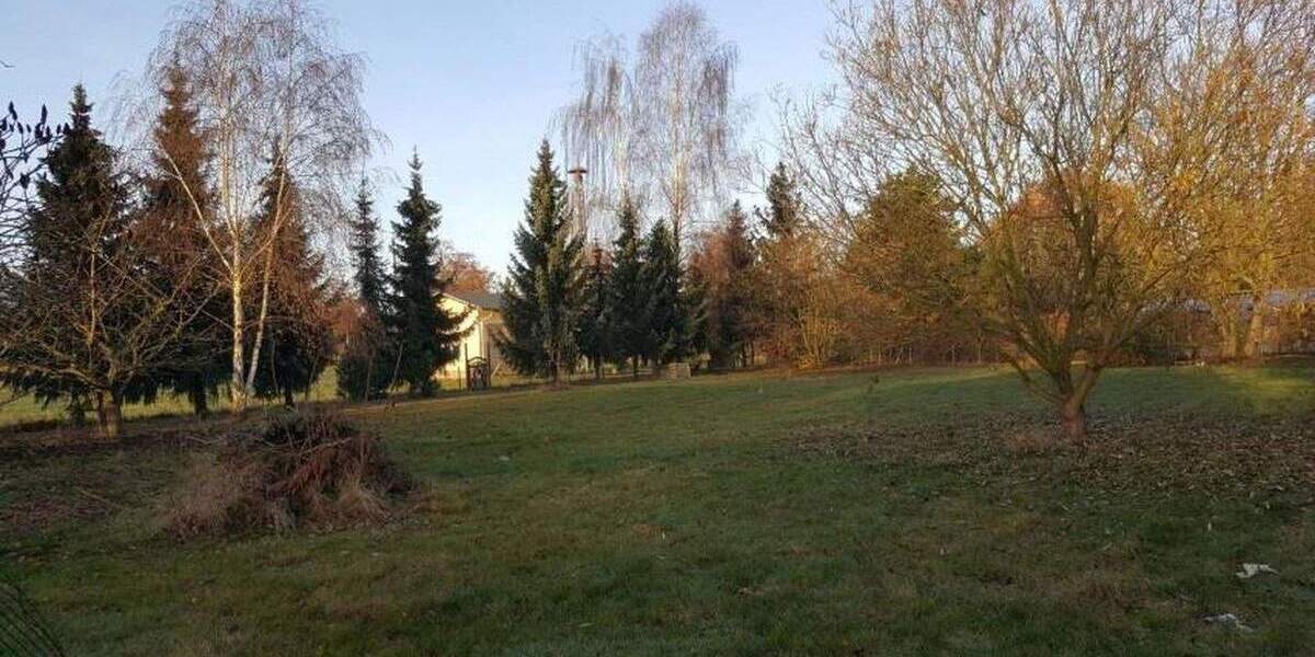 Ihr neues Zuhause für Hund und Katze sowie viel Platz zum Spielen 6 zimmer