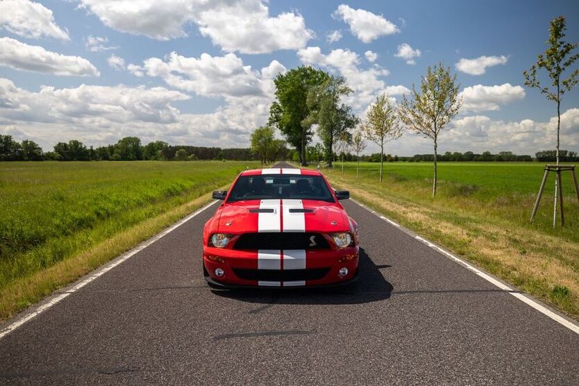 Mustang