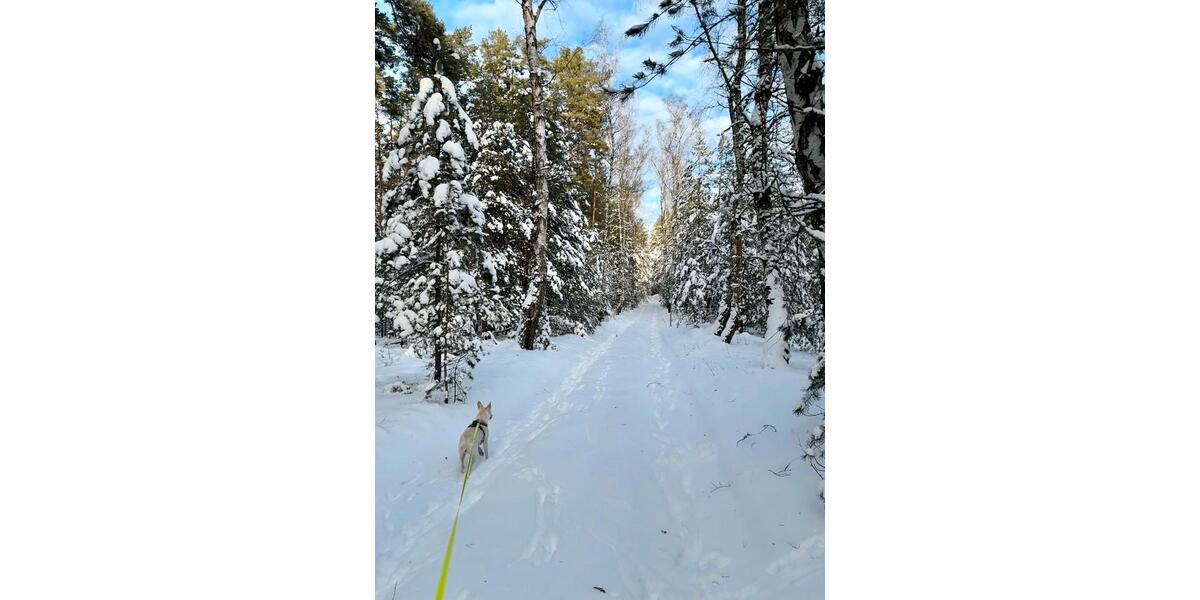 Reihenhaus Berlin Neukölln - 6 Zimmer, 105 m&sup2;, 1.850&euro; | Angebot:26320713