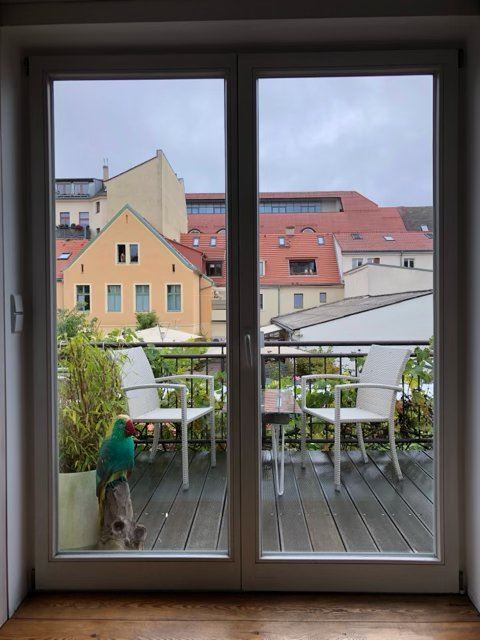 Schicke vier Zimmer Wohnung mit Balkon mitten in der Innenstadt 4 zimmer