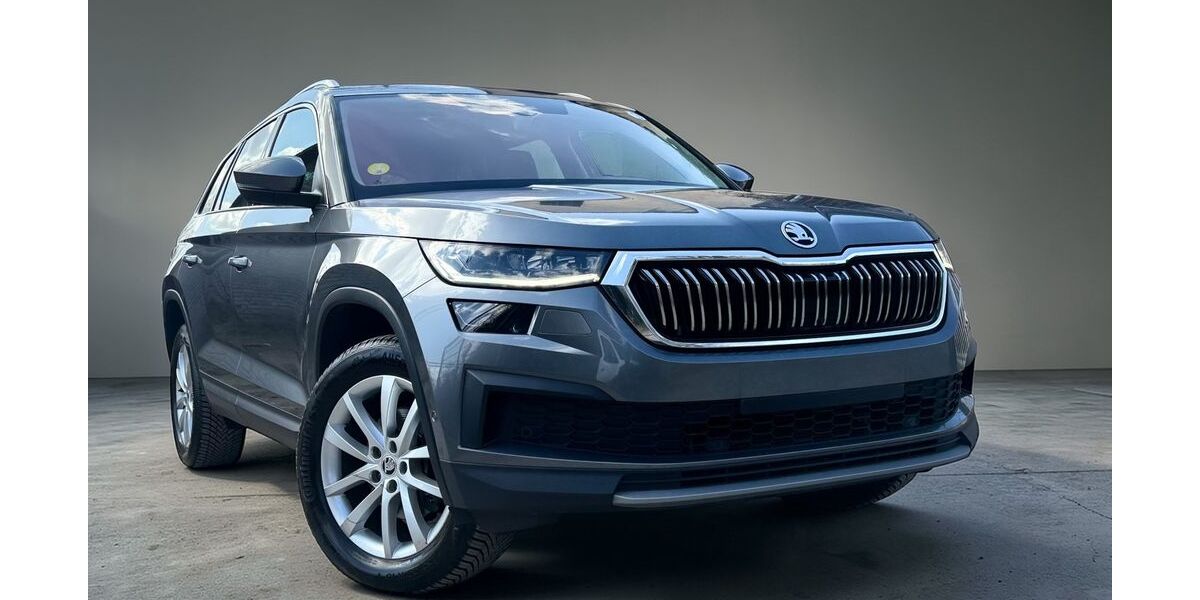 Skoda Kodiaq 105.410 km 23.999 &euro; Potsdam 14482
