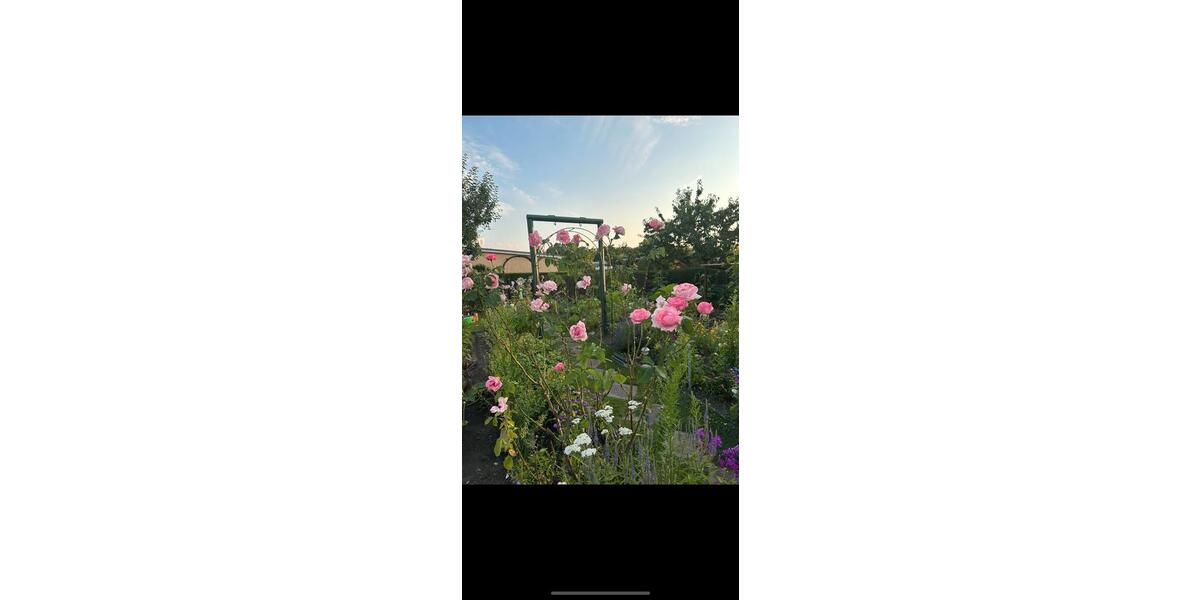 Einfamilienhaus Potsdam Berliner Vorstadt - 44.900&euro; | Angebot:26635191