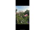 Einfamilienhaus Potsdam Berliner Vorstadt - 44.900&euro; | Angebot:26635191