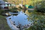 Einfamilienhaus Nauen - 4 Zimmer, 110 m&sup2;, 299.000&euro; | Angebot:26942264