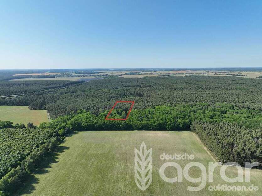 Grundstück in Kloster Lehnin 6.700 € 7907 m²