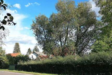 Klein und fein - individuelle Doppelhäuser in Wartenberg 4 zimmer