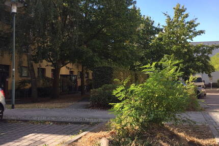 Wohnung Potsdam Bornstedt - 2 Zimmer, 50 m&sup2;, 160.000&euro; | Angebot:26401337