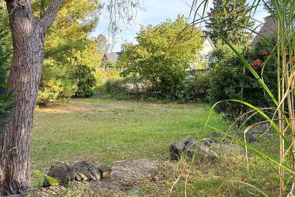 Grundstück Schwielowsee - 325.000&euro; | Angebot:27536370