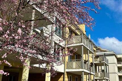 Wohnung Potsdam Berliner Vorstadt - 3 Zimmer, 80 m&sup2;, 495.000&euro; | Angebot:26193362