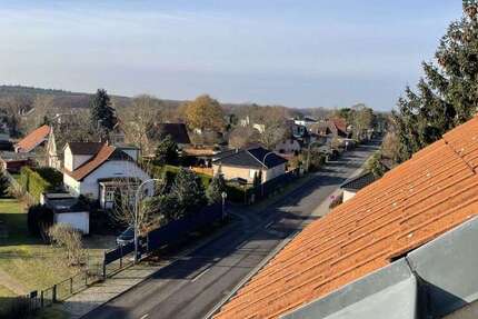 Wohnung zum Kaufen in Werder (Havel) 235.000 € 75.57 m² 3 zimmer