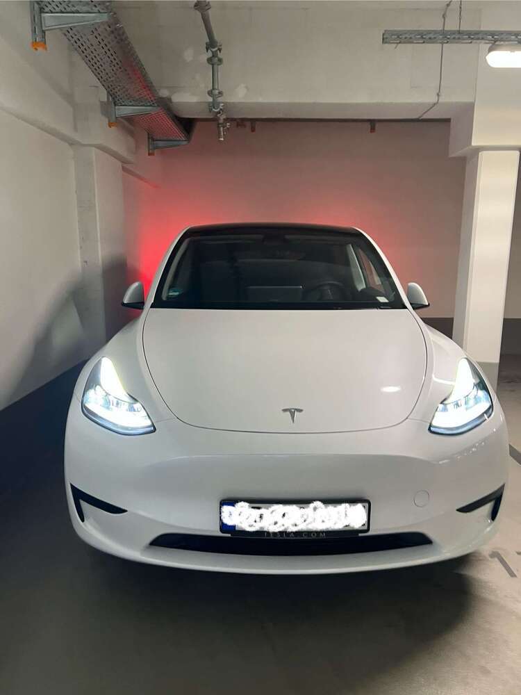 Model Y