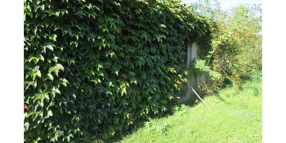 Grundstück Rangsdorf - 199.000&euro; | Angebot:26015632