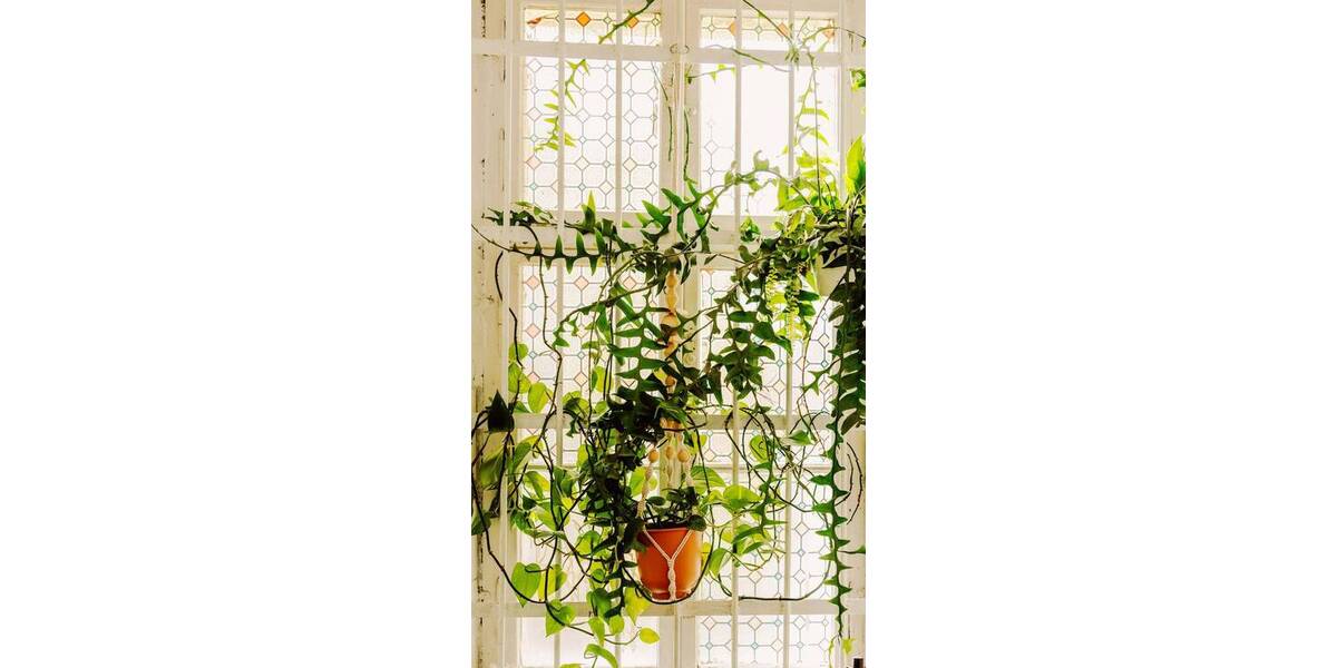 Gewerbeobjekt Berlin Neukölln - 190&euro; | Angebot:26884880