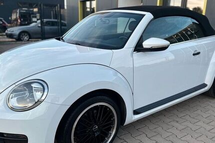 VW Beetle