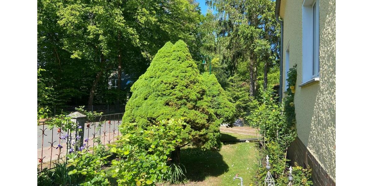 Einfamilienhaus Schönwalde-Glien Glien - 4.5 Zimmer, 107 m&sup2;, 398.000&euro; | Angebot:21094080