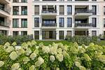 Etagenwohnung Potsdam Nördliche Innenstadt - 3 Zimmer, 123 m&sup2;, 1.049.000&euro; | Angebot:26741956