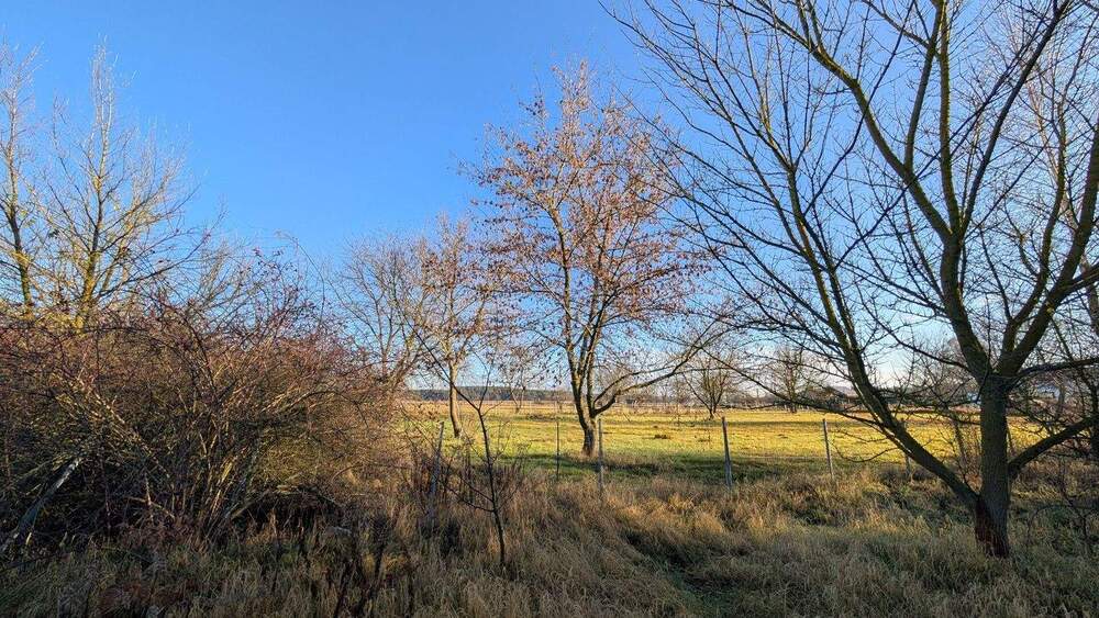 Grundstück Neu Bochow / Groß Kreutz Neu Bochow - 135.000&euro; | Angebot:25821535