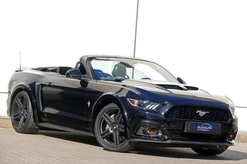 Mustang