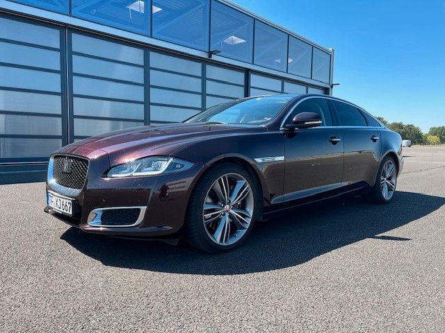 XJ