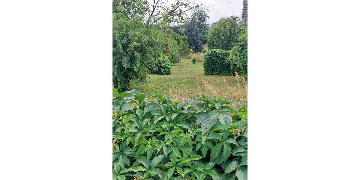 Grundstück Roskow Weseram - 68.000&euro; | Angebot:25769961