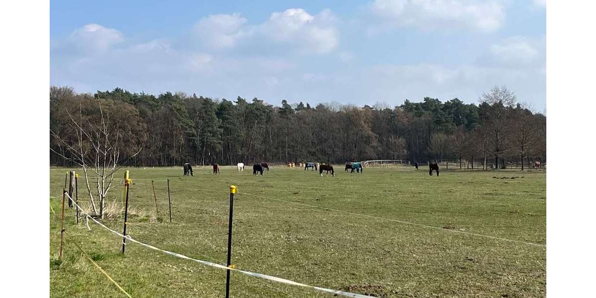 Leerstehendes Reihenendhaus: 100m² groß + ruhig im Grünen gelegen, Falkensee, nahe Potsdam + Berlin 4 zimmer