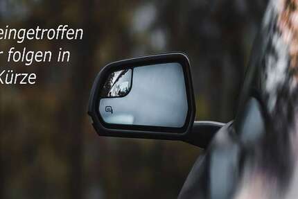 Renault Scenic 32.765 km 10.990 € Brandenburg 14772