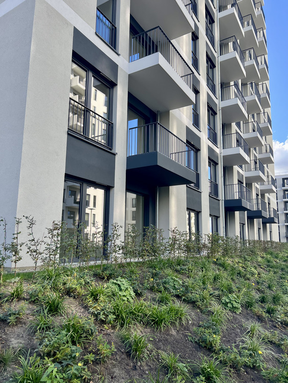 4 Zimmer mit Balkon - HAVELUFER Quartier