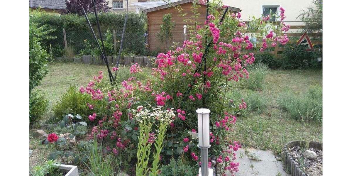 Doppelhaushälfte Beelitz Heilstätten - 4 Zimmer, 109 m&sup2;, 450.000&euro; | Angebot:25735485