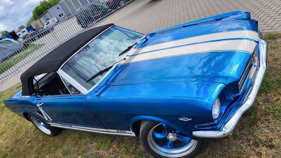Mustang