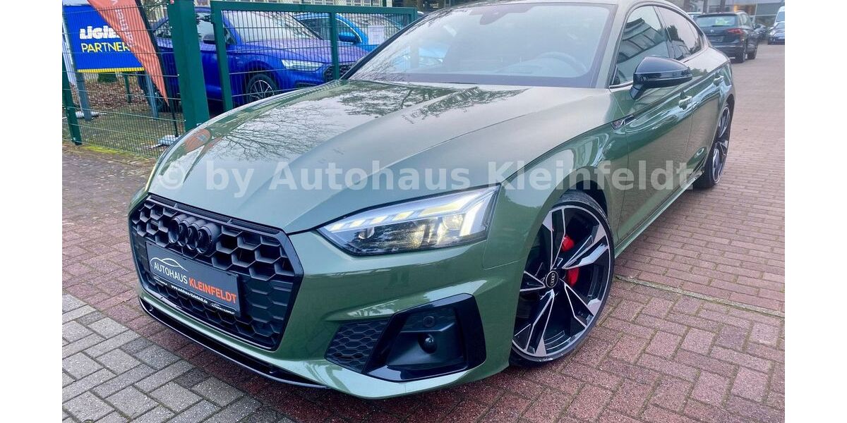 Audi A5 113.092 km 38.990 &euro; Borkheide 14822