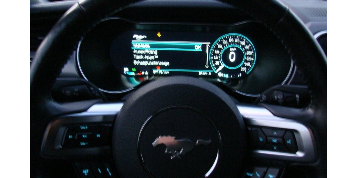 Ford Mustang GT 5.0 V8 Fastback SVT Performance Deutsch 37.112 km 36.980 € Falkensee 14612