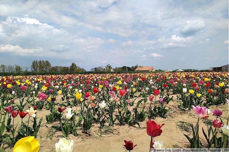 Reihenmittelhaus Dallgow-Döberitz Seeburg - 5 Zimmer, 100 m&sup2;, 475.000&euro; | Angebot:25770812