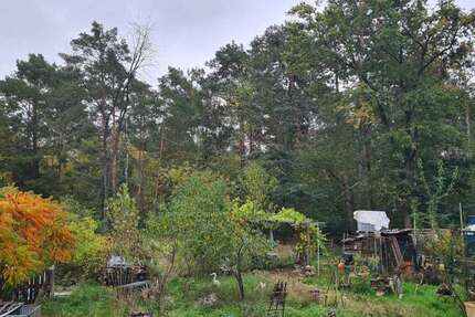 Grundstück Werder (Havel) OT Alt-Töplitz Töplitz - 220.000&euro; | Angebot:25945938