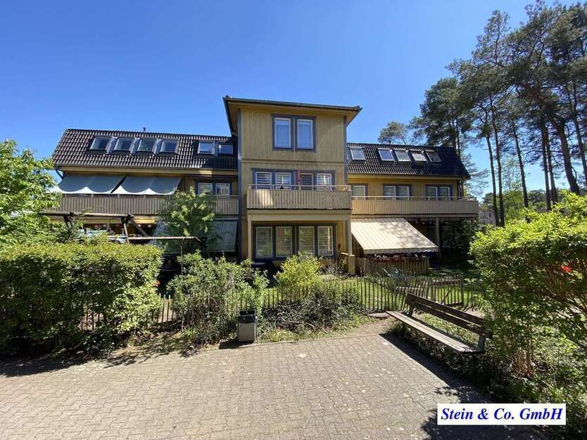 Wohnung zum Mieten in Borkwalde 920 € 95.13 m²