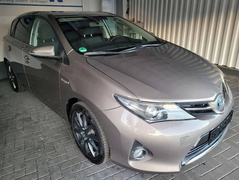 Auris