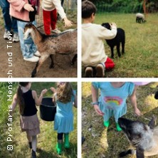 Kindertags-Special - Schafe, Ziegen & Natur 04.07.2026 Profaris Mensch und Tier / Begegnungsort