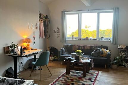 Sublet Neukölln Penthouse Apartment (w roommates!) 15-22 June