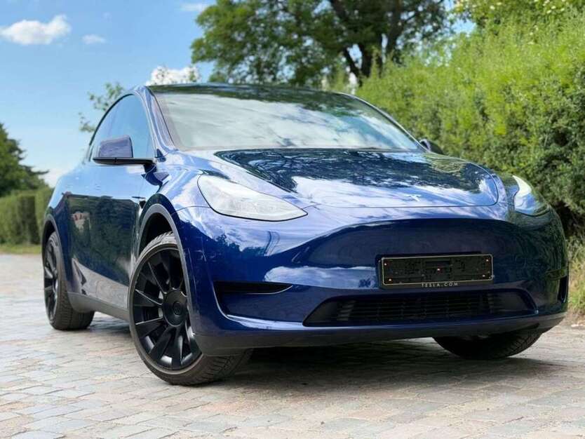 Model Y