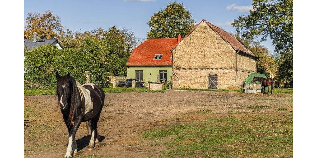 Mehrfamilienhaus, Wohnhaus Nauen Niebede - 7 Zimmer, 283 m&sup2;, 868.000&euro; | Angebot:25685861