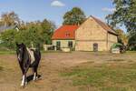 Mehrfamilienhaus, Wohnhaus Nauen Niebede - 7 Zimmer, 283 m&sup2;, 868.000&euro; | Angebot:25685861