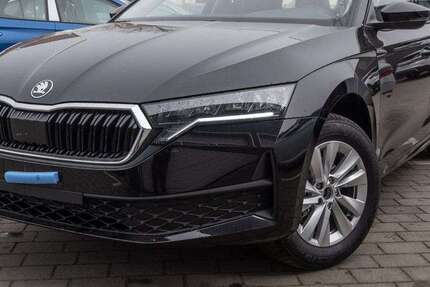 Skoda Octavia 7.500 km 31.490 € Schwielowsee OT Geltow 14548