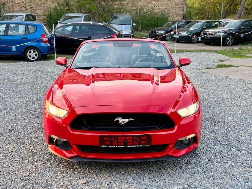 Mustang