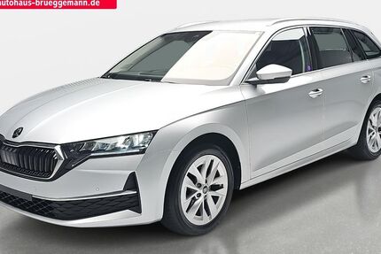 Skoda Octavia 11.100 km 30.990 € Brandenburg 14772