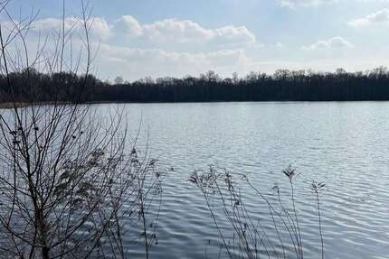 Freies Reihenendhaus: 100m² groß + ruhig im Grünen gelegen in Falkensee, nahe Potsdam und Berlin