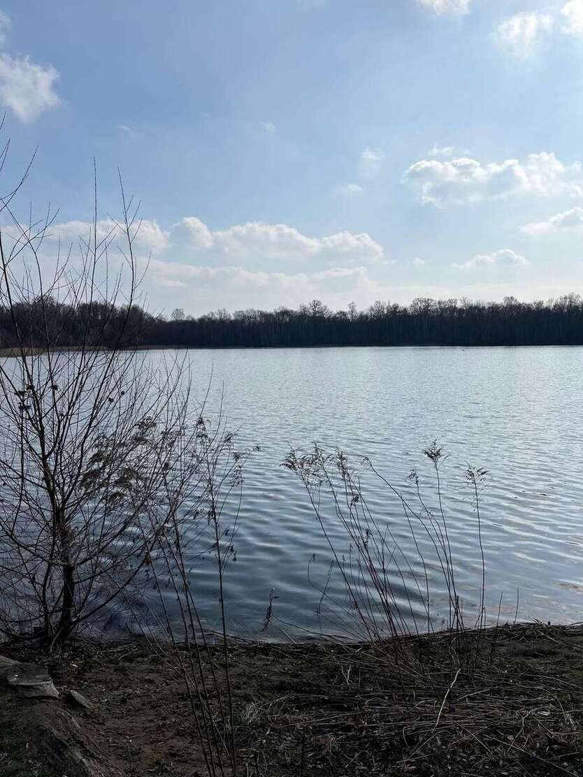 Freies Reihenendhaus: 100m² groß + ruhig im Grünen gelegen in Falkensee, nahe Potsdam und Berlin