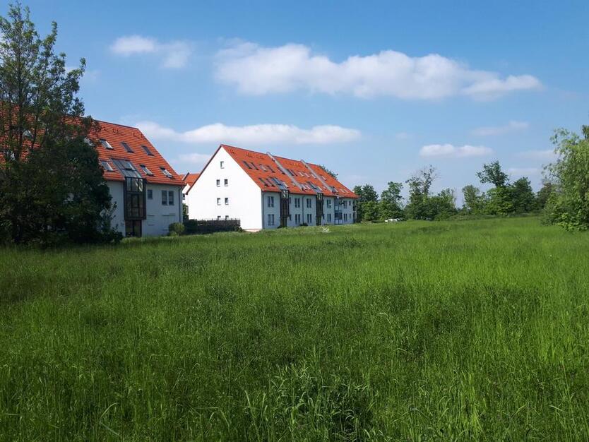 Schöne, helle 1 Raum-DG-Wohnung mit Balkon Nähe Teltow zimmer