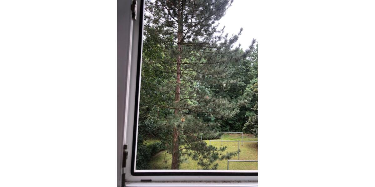 Etagenwohnung Potsdam Drewitz - 3 Zimmer, 61 m&sup2;, 238.000&euro; | Angebot:24344063