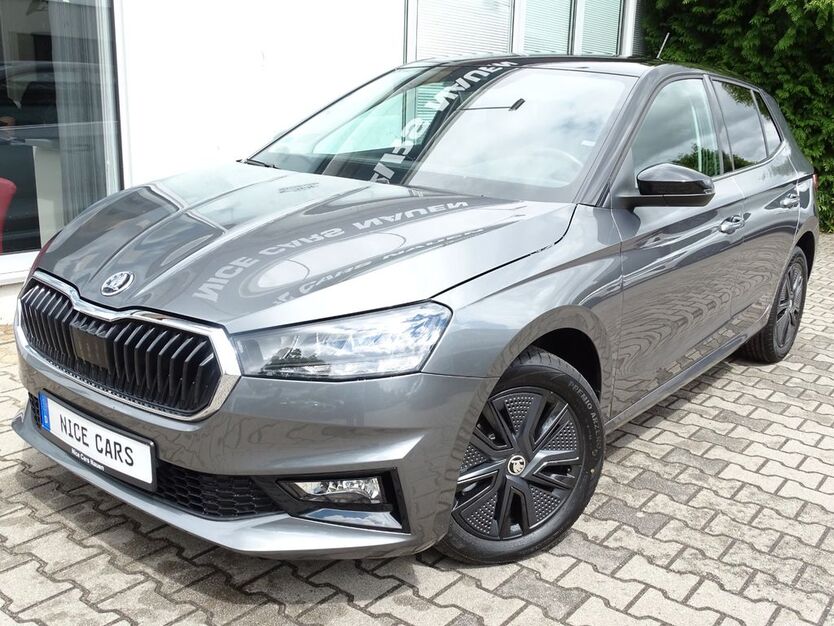 Skoda Fabia 46.712 km 17.690 € Nauen 14641